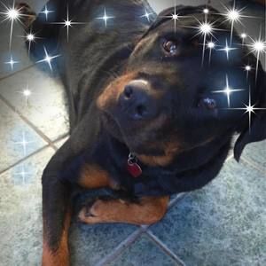 Meet your Posher, Beth